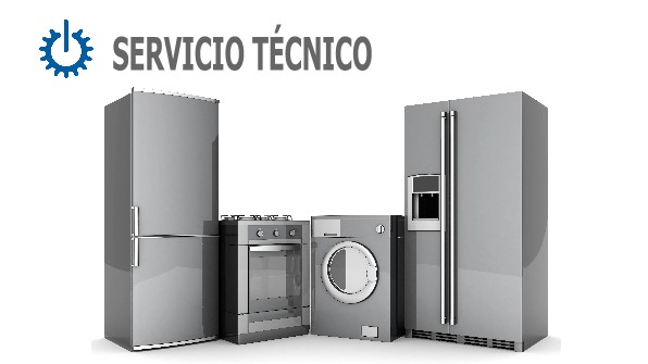 tecnico Smeg La Línea de la Concepción